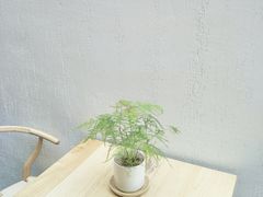 -禾康家蛋糕店