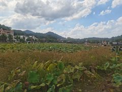 -红山村