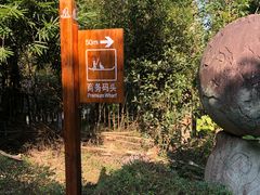 -九曲溪竹筏码头