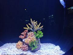 -北海海底世界