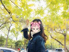 -三里屯东五街银杏大道