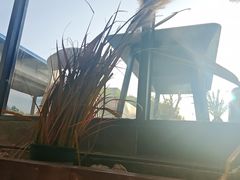 -花园茶楼·淮扬菜(兴城西路店)
