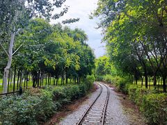 -西青郊野公园