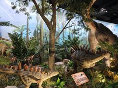 -陕西自然博物馆