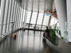 -上海之巅观光厅