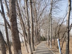 -东郊湿地公园