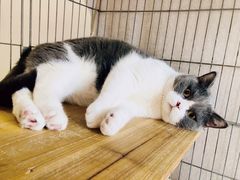 -上海市杨浦区牙病防治所