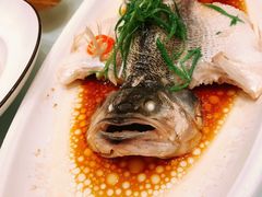 -梦都海鲜酒家(万达广场江桥店)