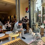 松弛感爆棚咖啡店