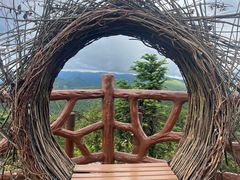 -武陵山森林公园