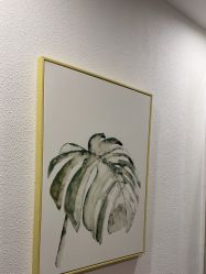 -薇薇安花系SPA