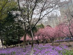 -白塘生态植物园