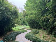 -堤角公园