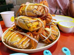 -黄记大闸蟹专卖店·活蟹·醉蟹