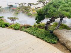 -罗红摄影艺术馆