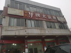 -y牌太安鱼