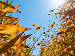 -西安市长乐公园