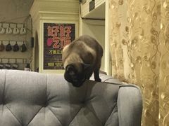 -吱咖啡西式简餐