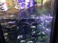 -成都浩海立方海洋公园