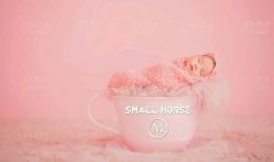 点击看大图 -小木马儿童摄影(保丽国际广场店)