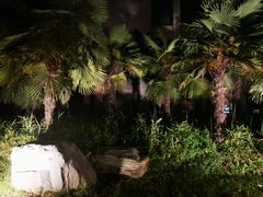 -河南省黄河迎宾馆