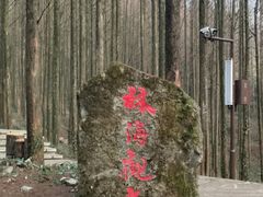 -山王坪喀斯特国家生态公园