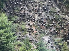 -神农架景区