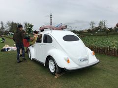 -荷兰花海