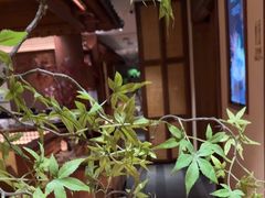 -揽季锅物会.福建黄鱼.海鲜姿造(五四路店)
