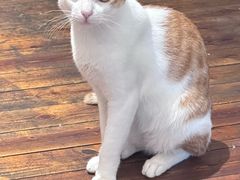 -初甜·舒芙蕾·韩式雪花冰(流塘店)