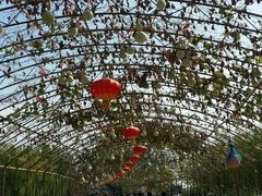 -葫芦古镇关东民俗雪乡