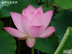 -南戴河国际娱乐中心