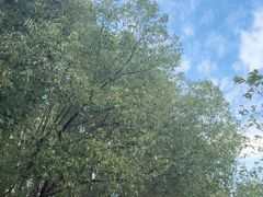 -同里国家湿地公园