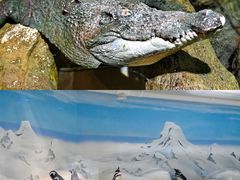 -上海海洋水族馆