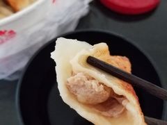 -洋洋锅贴