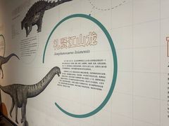 -衢州市博物馆