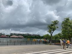 -上海长兴岛郊野公园