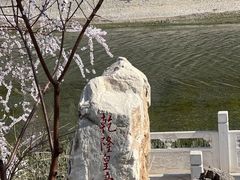 -桃花堤公园