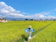 -喜林苑·稻田餐厅(品相府店)