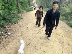 -青龙山国家森林公园