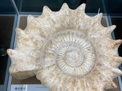 -天津古林古海岸遗迹博物馆