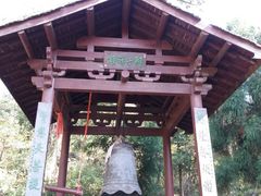 -天目山大树王景区