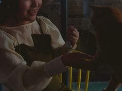 -喵屿·大理花园猫咖