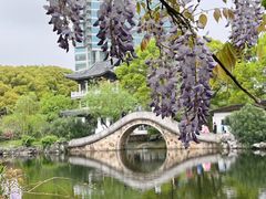 -无锡蠡湖国家湿地公园-蠡园