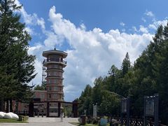 -峡谷浮石林景区