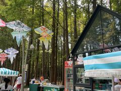 -日照海滨国家森林公园