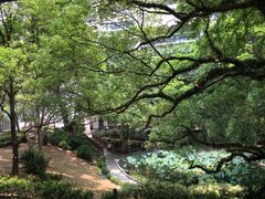 -香港大学