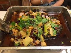 -沈姐万州烤鱼(沙坪坝七中店)