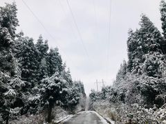 -武陵山森林公园