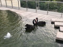 -南京圣和府邸豪华精选酒店